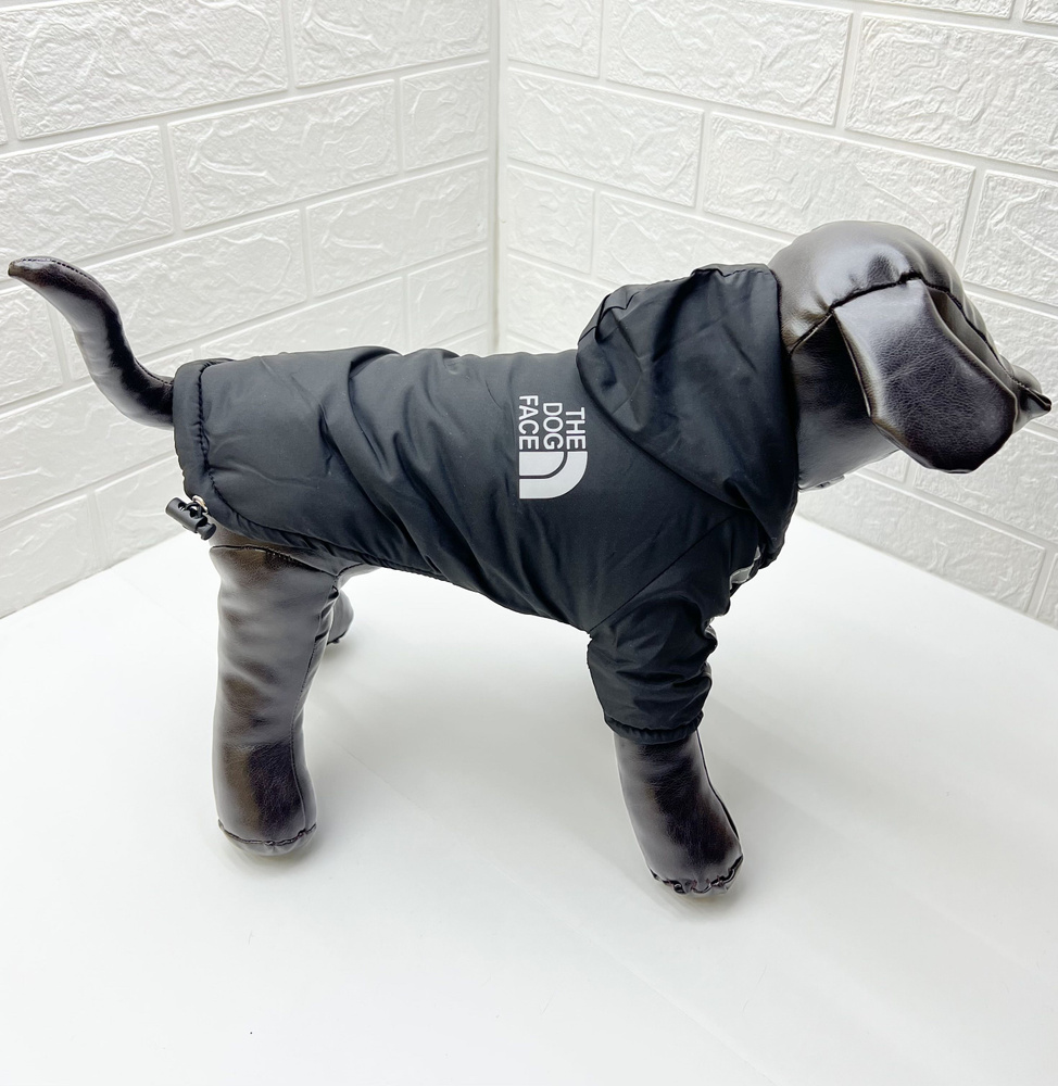 North face dog coat online