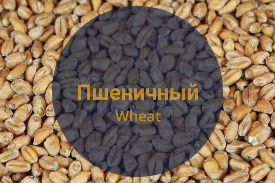 Солод Bestmalz "Wheat" (Пшеничный), Германия, 20 кг., С ПОМОЛОМ #1