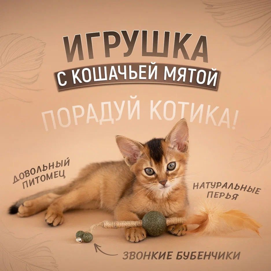 Игрушки для кошек и котят - натуральное успокаивающее лакомство кошачья  мята, интерактивная игрушка дразнилка для котов, леденец для кошек