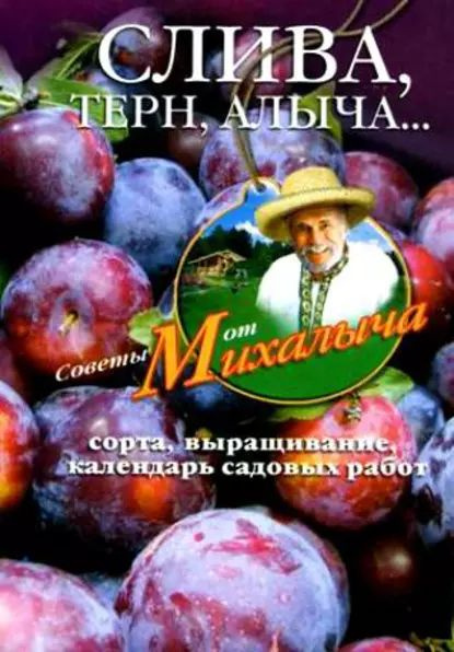 Слива, терн, алыча... Сорта, выращивание, календарь садовых работ | Звонарев Николай Михайлович | Электронная #1