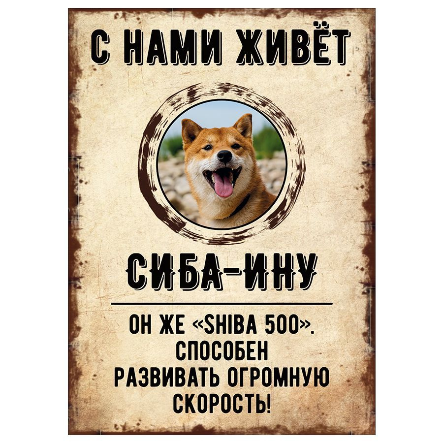 Табличка, декоративная, DANGER DOG, С нами живет Сиба-ину, 18см х 25см