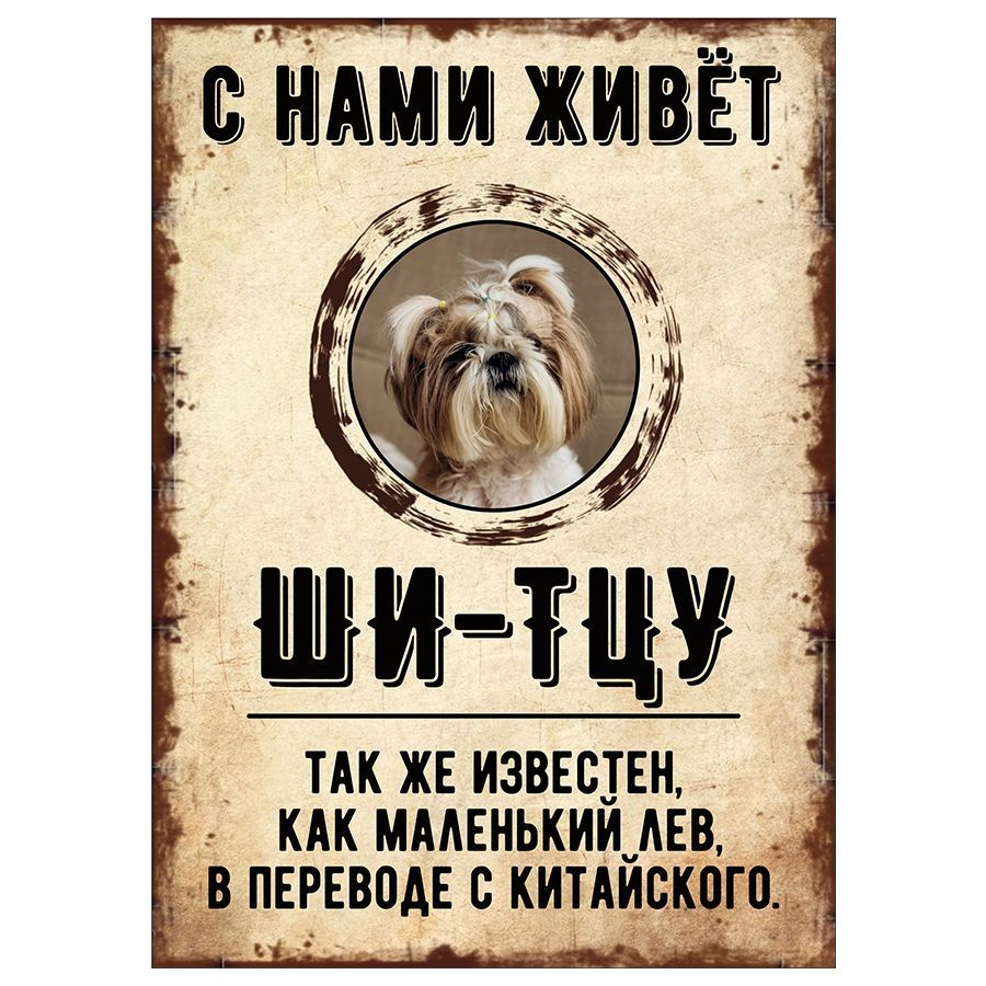 Табличка, декоративная, DANGER DOG, С нами живет Ши-тцу, 18см х 25см, 25  см, 18 см - купить в интернет-магазине OZON по выгодной цене (851301346)