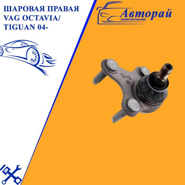 Шаровая правая VAG Octavia/Tiguan 04- ор.1K0407366C - купить по ...