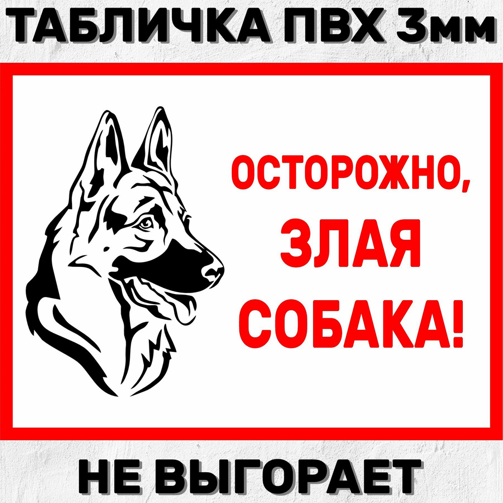 Табличка информационная Осторожно злая собака 30х23см #1