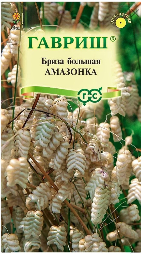 Бриза большая Амазонка (трясунка), 1 пакет, семена 0,1 гр, Гавриш, сухоцвет  #1