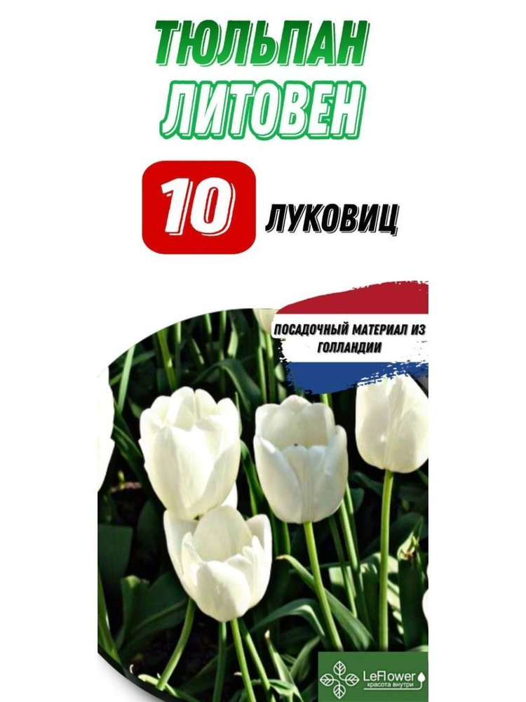 LeFlower Луковицы #1