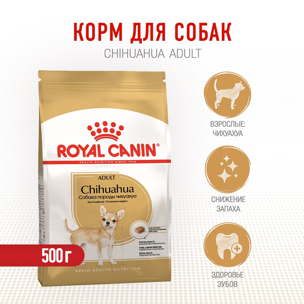 Royal best sale canin chiwawa