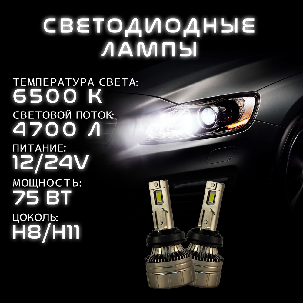 Лампа автомобильная Samrai Lights 12В/24В, 2 шт. купить по низкой цене с  доставкой в интернет-магазине OZON (1402899335)