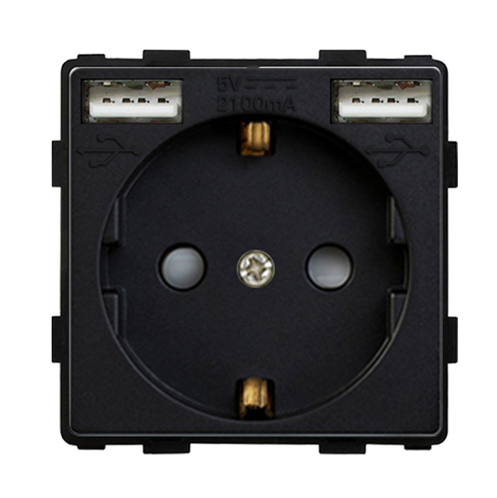 Розетка (модуль) электрическая с 2 USB (Type A + Type A) с заземлением ...