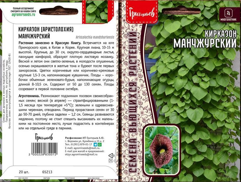 Кирказон манчжурский 20 семян х 1 упаковка/ Редкие вьющиеся  #1