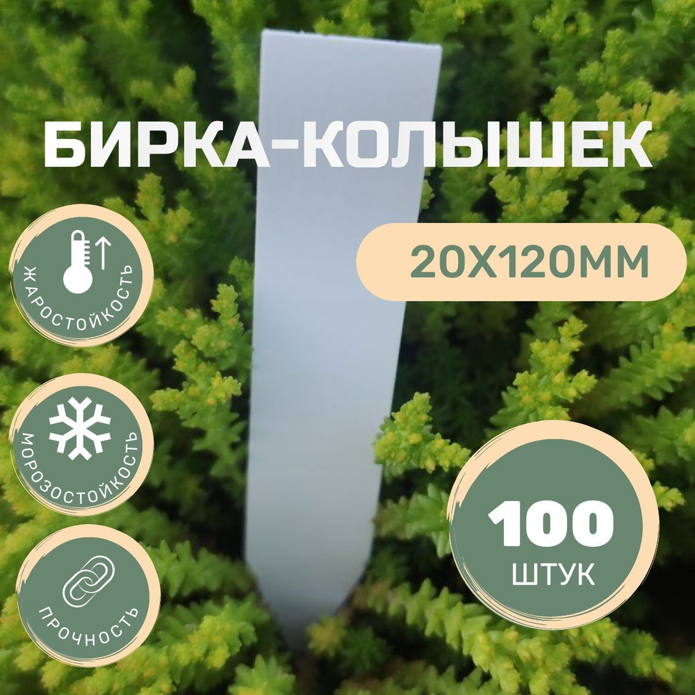 Садовая бирка-колышек 100шт 20х120 купить на OZON по низкой цене ...