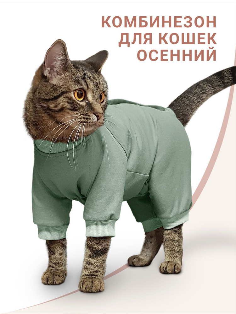 Одежда с изображением кошек и котов