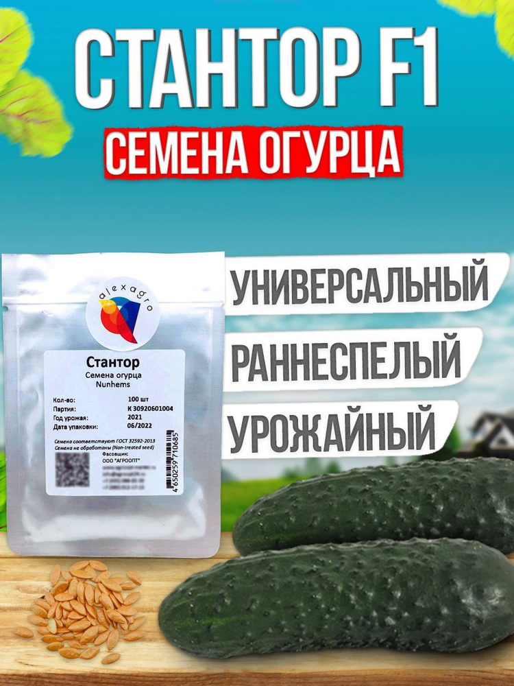 Стантор F1 семена огурца ранние, 100 шт. (Nunhems / ALEXAGRO). Высокоурожайный, партенокарпический гибрид #1