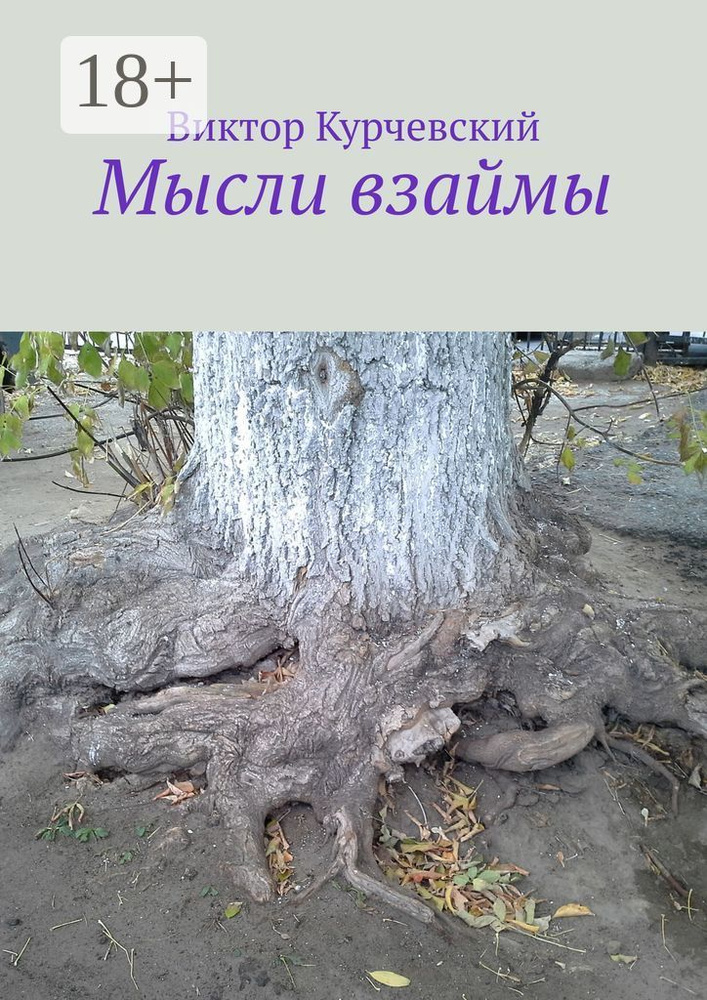 Мысли взаймы | Курчевский Виктор #1