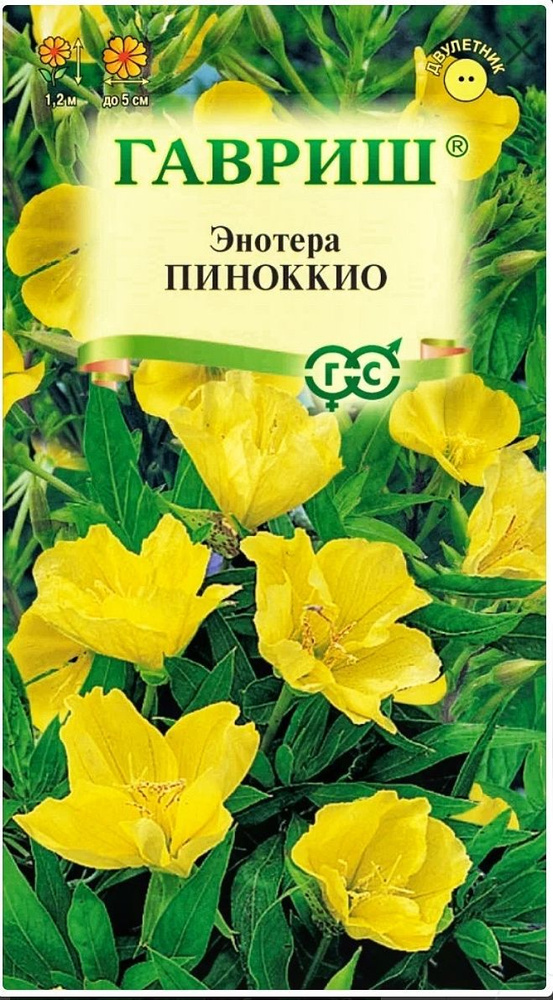 Энотера Пиноккио (двулетняя), 1 пакет, семена 0,3 гр, Гавриш  #1