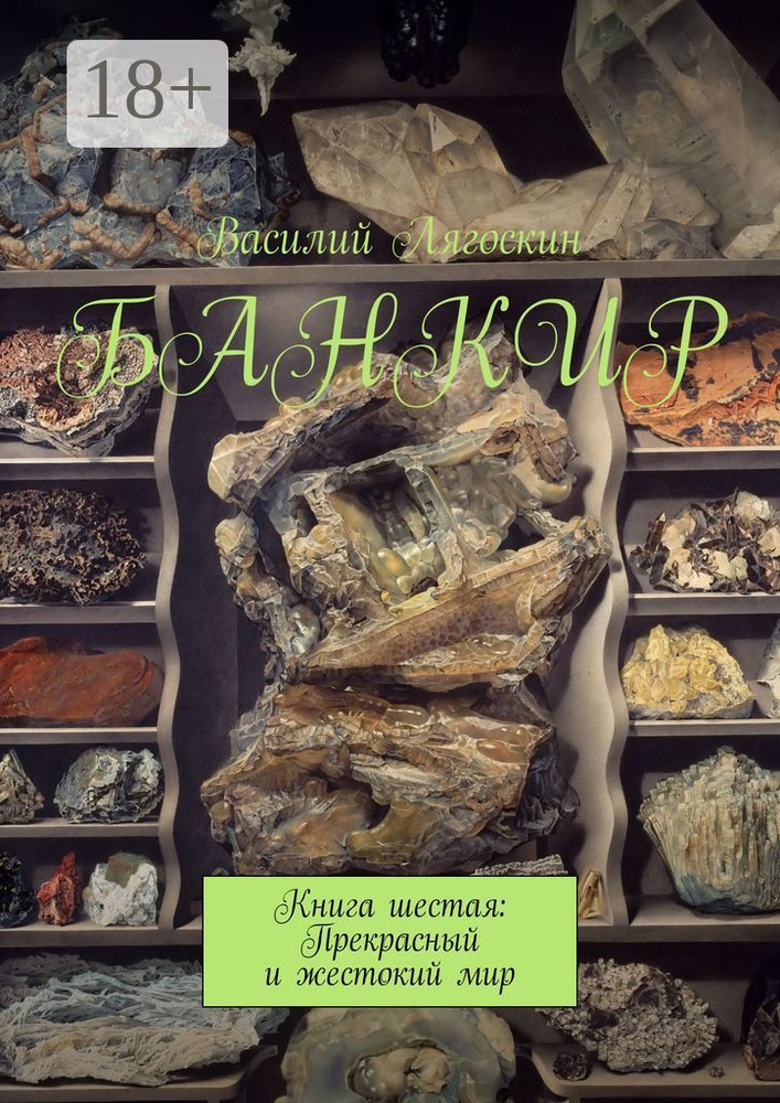Банкир. Книга шестая: Прекрасный и жестокий мир | Лягоскин Василий Иванович #1