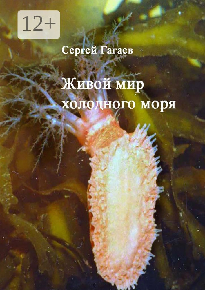 Живой мир холодного моря #1