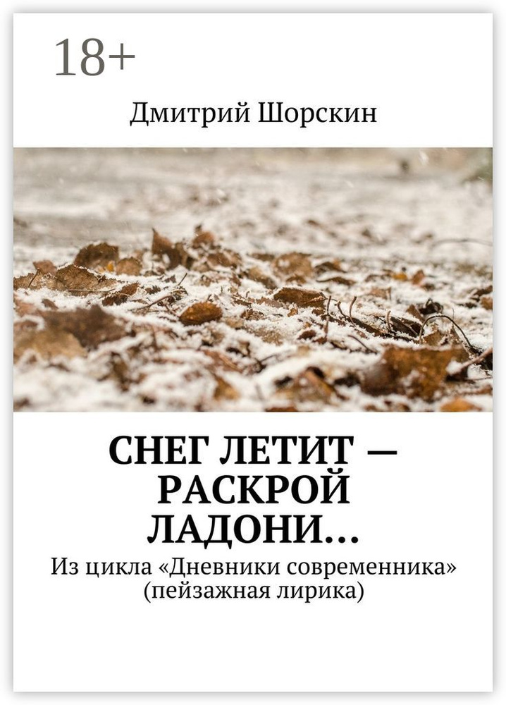 Снег летит - раскрой ладони. Из цикла Дневники современника (пейзажная лирика) #1