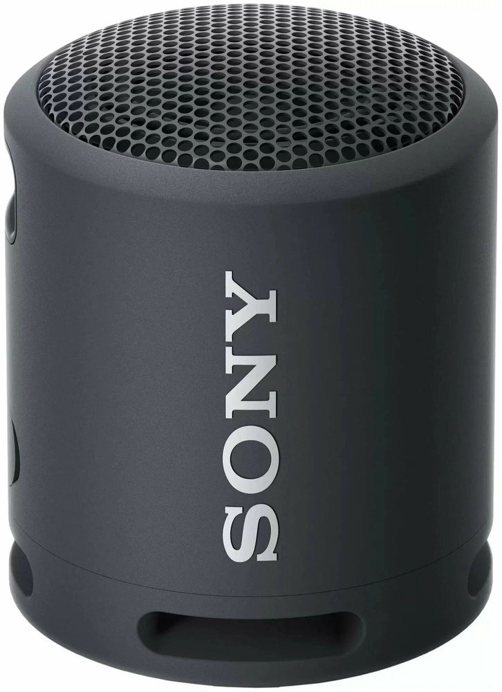 Wifi колонка. Колонка Sony SRS xb10. Sony SRS-xb10. Портативная акустика Sony SRS-xb10 Black. Sony колонки x3p.