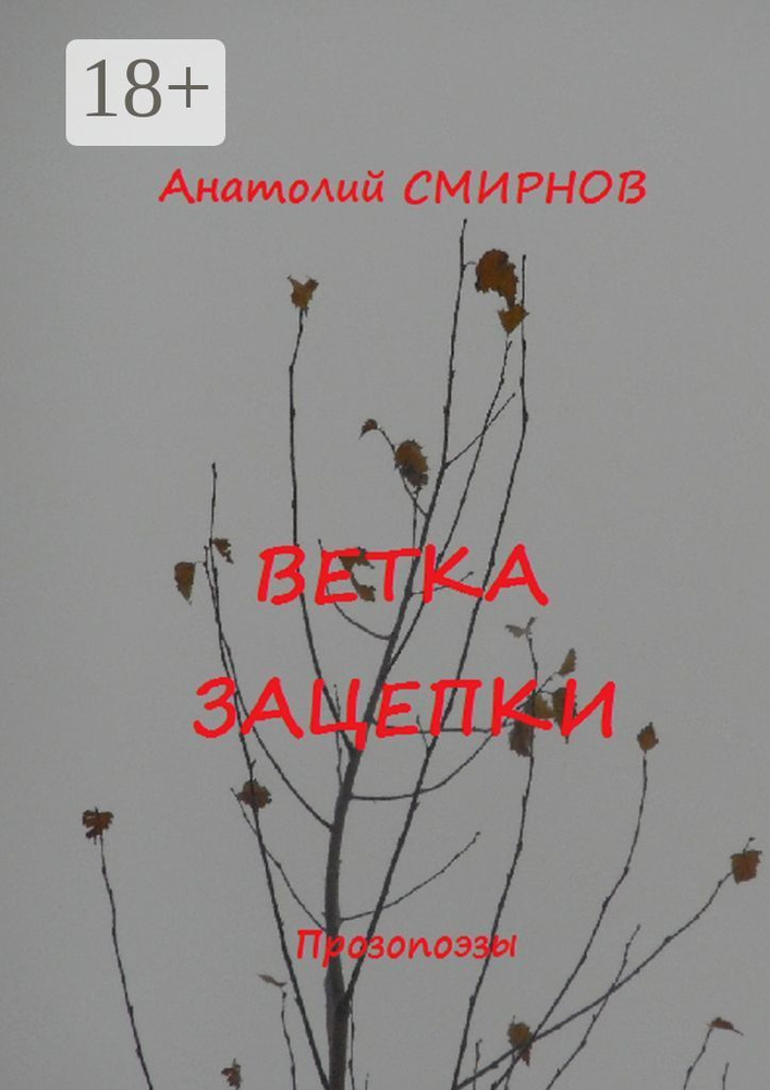 Ветка зацепки. Прозопоэзы | Анатолий Смирнов #1
