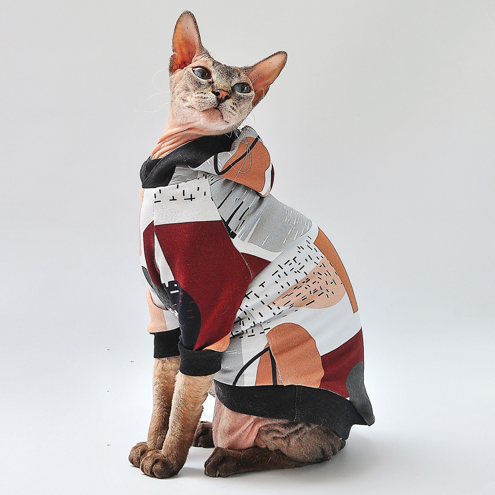 Одежда для кошек: зачем нужка и как приучить кошку к костюмам