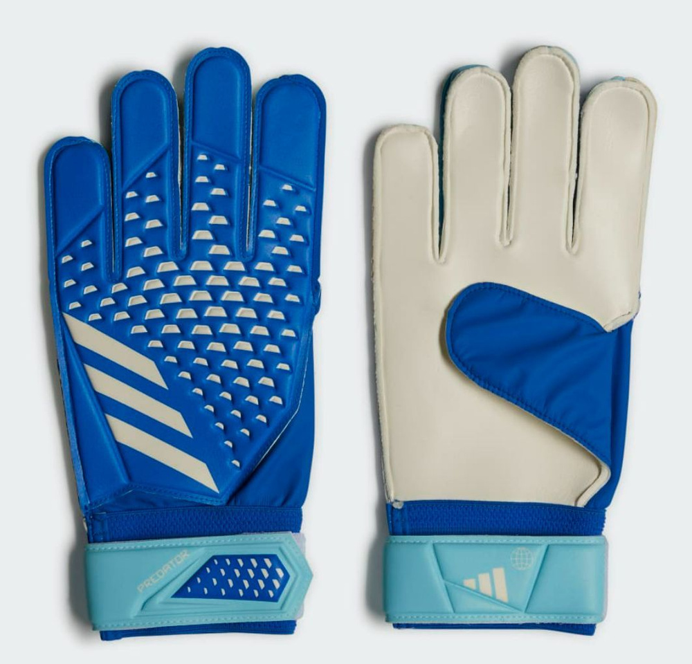 Перчатки для вратаря взрослые adidas Predator Training Goalkeeper Gloves,  цвет: broyal / bliblu / white (голубой). IA0876. Размер 9 - купить с  доставкой по выгодным ценам в интернет-магазине OZON (1062436467)