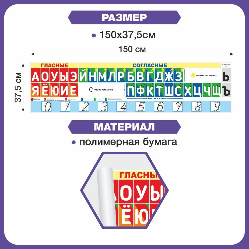 Плакат ЛЕНТА БУКВ, ЗВУКОВ и ЦИФР для начальной школы - купить с доставкой  по выгодным ценам в интернет-магазине OZON (760435328)