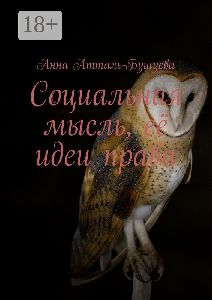 Социальная мысль, её идеи права | Атталь-Бушуева Анна #1