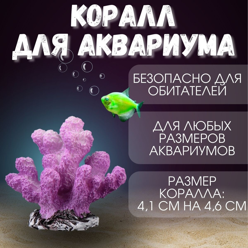 MosCorals - Купить кораллы для морского аквариума в интернет магазине «Moscorals» недорого