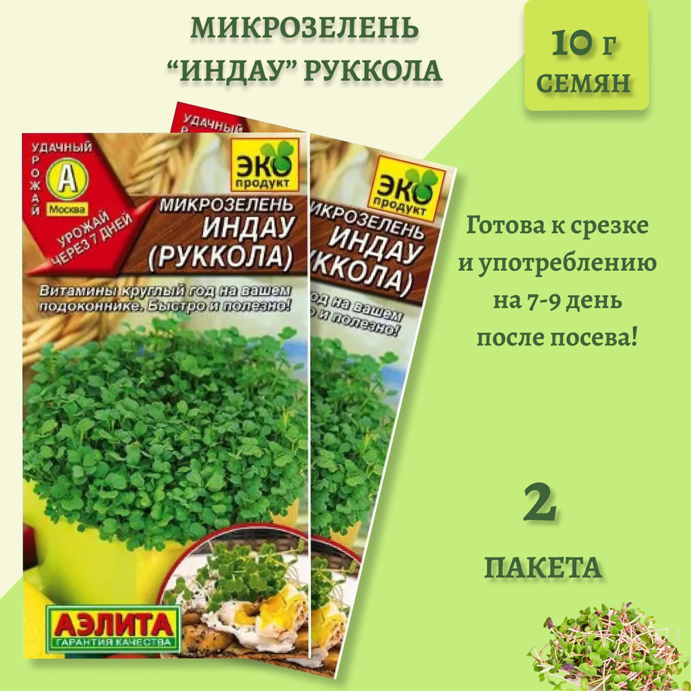 Микрозелень, Рукола Аэлита микроз - купить по выгодным ценам в  интернет-магазине OZON (874112752)