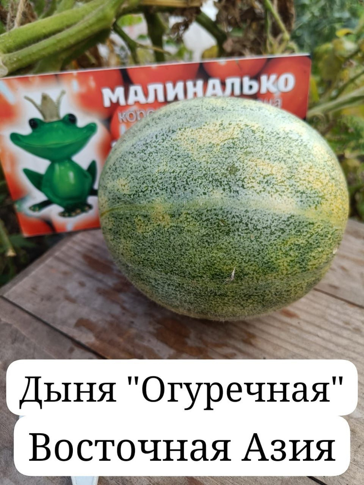 Семена #1