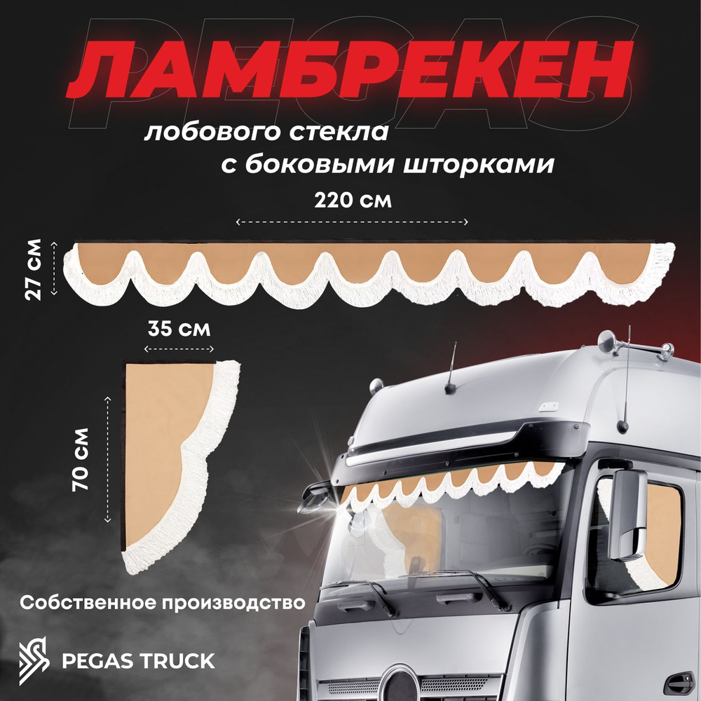 Шторка солнцезащитная PEGAS TRUCK DAF, Iveco (220х70 см) - купить по  доступным ценам в интернет-магазине OZON (1267739816)