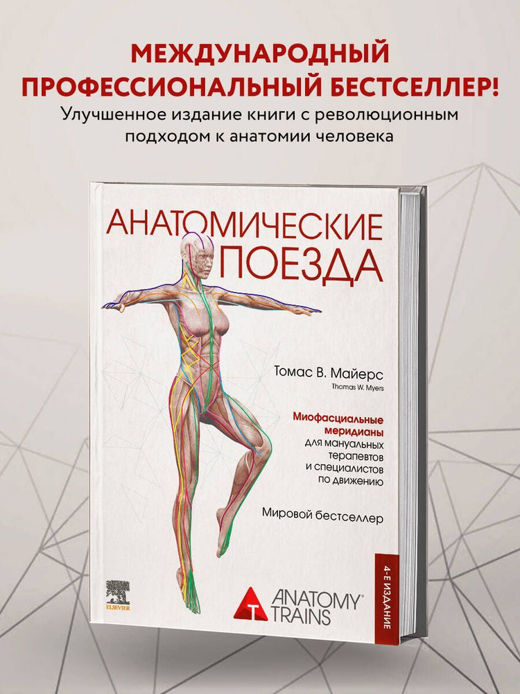 Анатомические поезда. 4-е издание. 2023 г | Майерс Томас - купить с ...