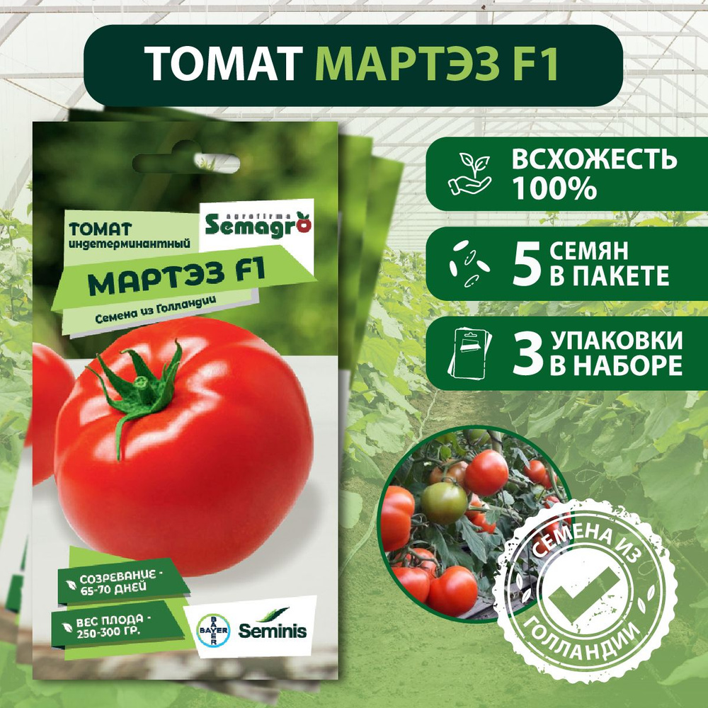 Семена томата индетерминантного Мартэз F1 SEMINIS, 3 пакета, (5 семян в одном пакете), Голландия #1