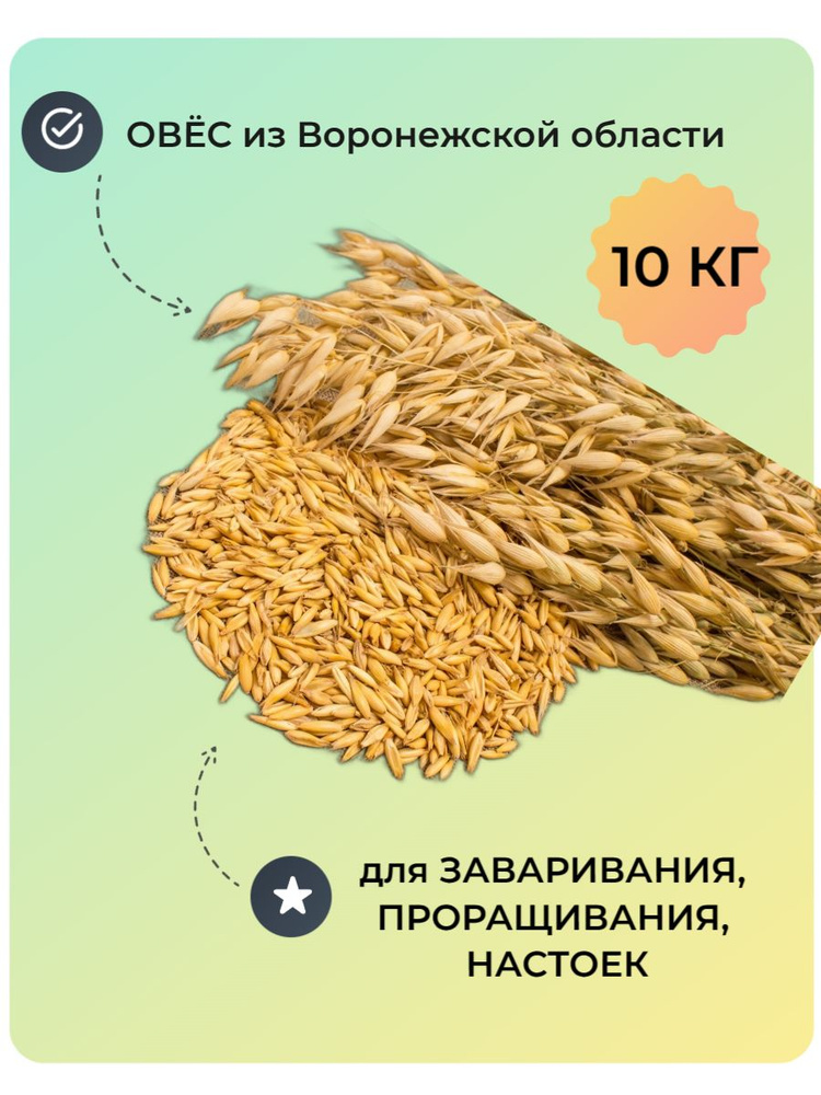10 кг Овес для заваривания, проращивания, настоя, отвара - купить с ...