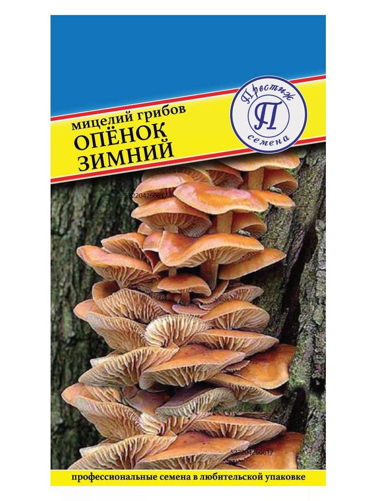 Мицелий грибов "ОПЕНОК ЗИМНИЙ" семена грибов - купить по выгодным ценам ...