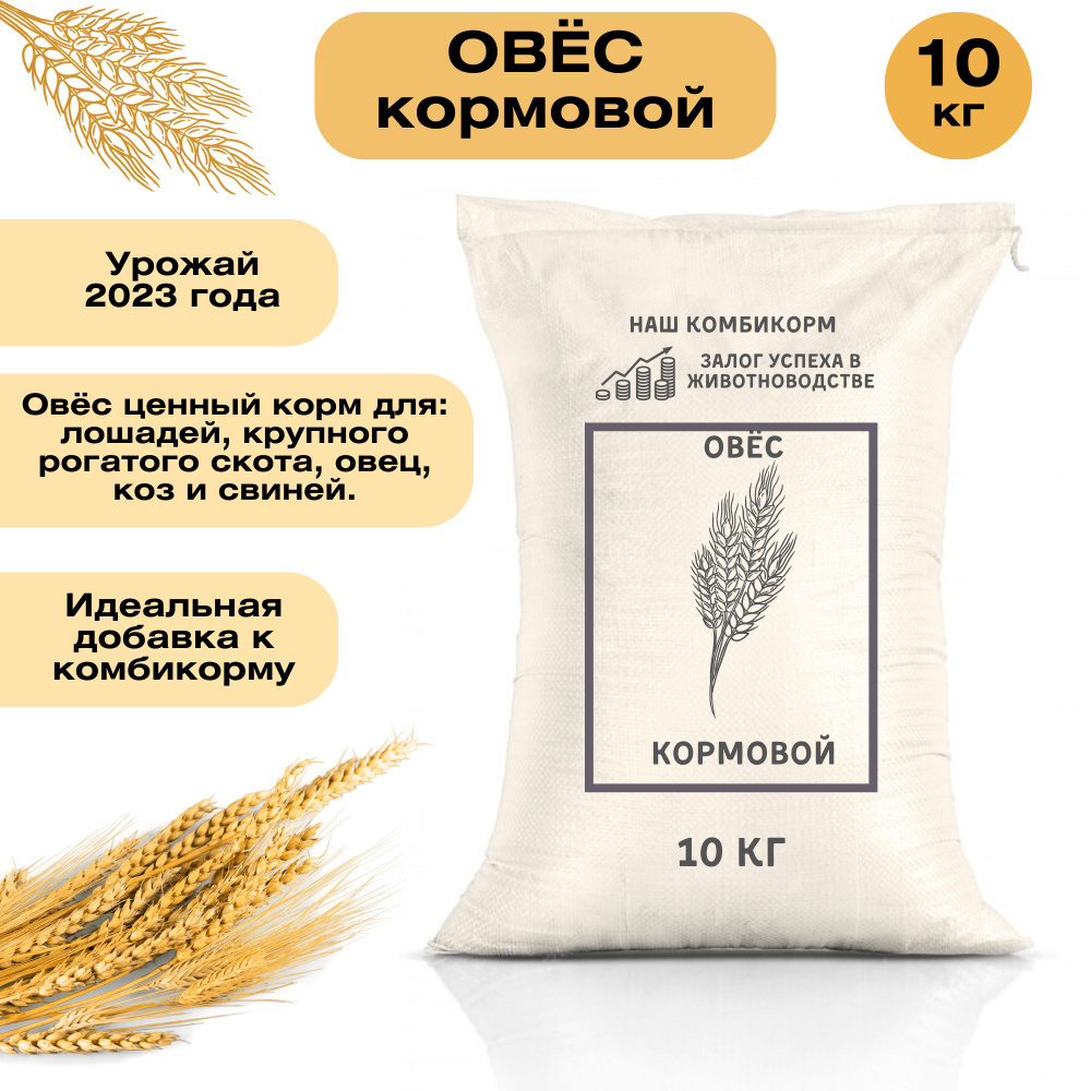 Овес кормовой 10 кг. Незаменимый продукт для кормления лошадей, крупного рогатого скота, овец и свиней. #1