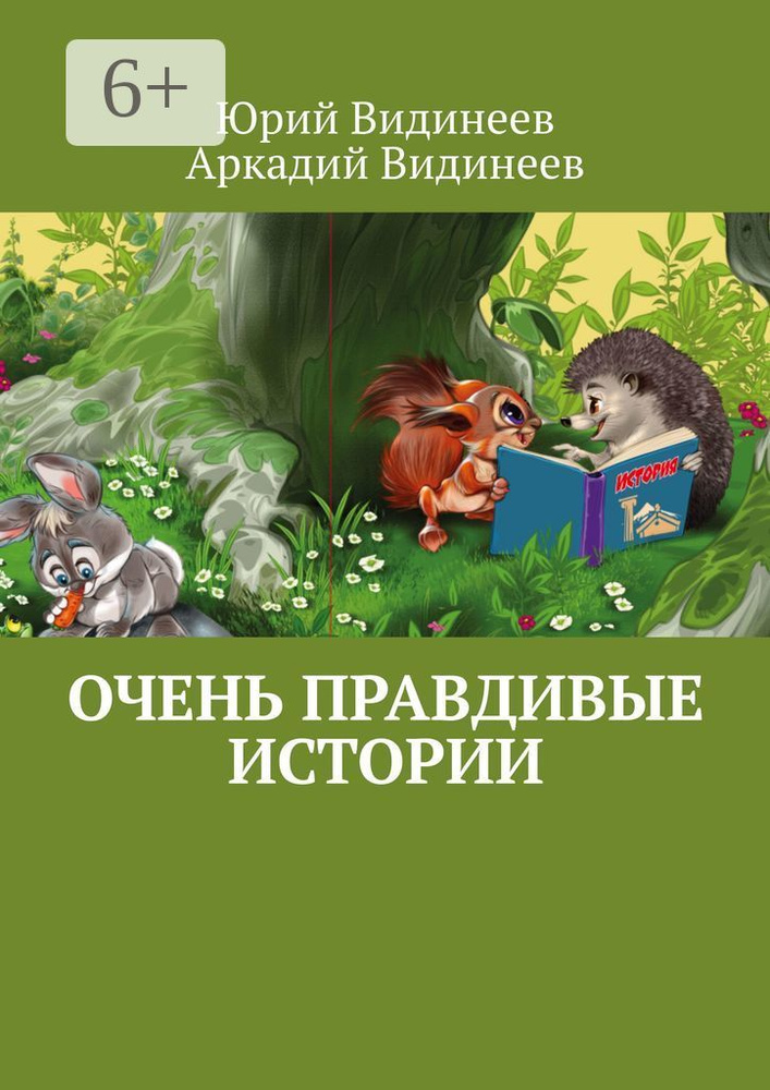 Очень правдивые истории | Видинеев Юрий #1