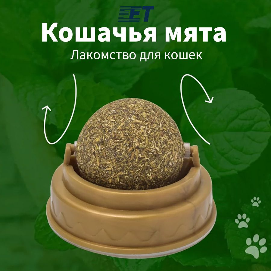 Кошачья мята / Шарик с кошачьей мятой на стену / Лакомство для кошек ...