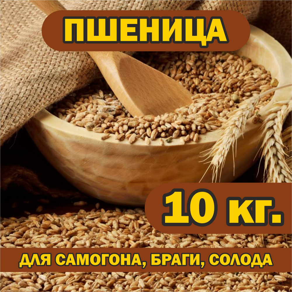 Пшеница 10 кг. для самогона, браги, солода, брожения, проращивания.