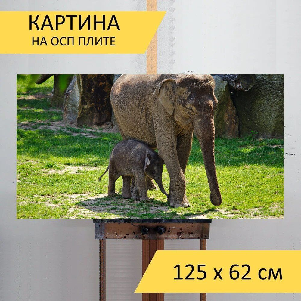 LotsPrints Картина "Слон, слоны, животное 14", 125  х 62 см #1