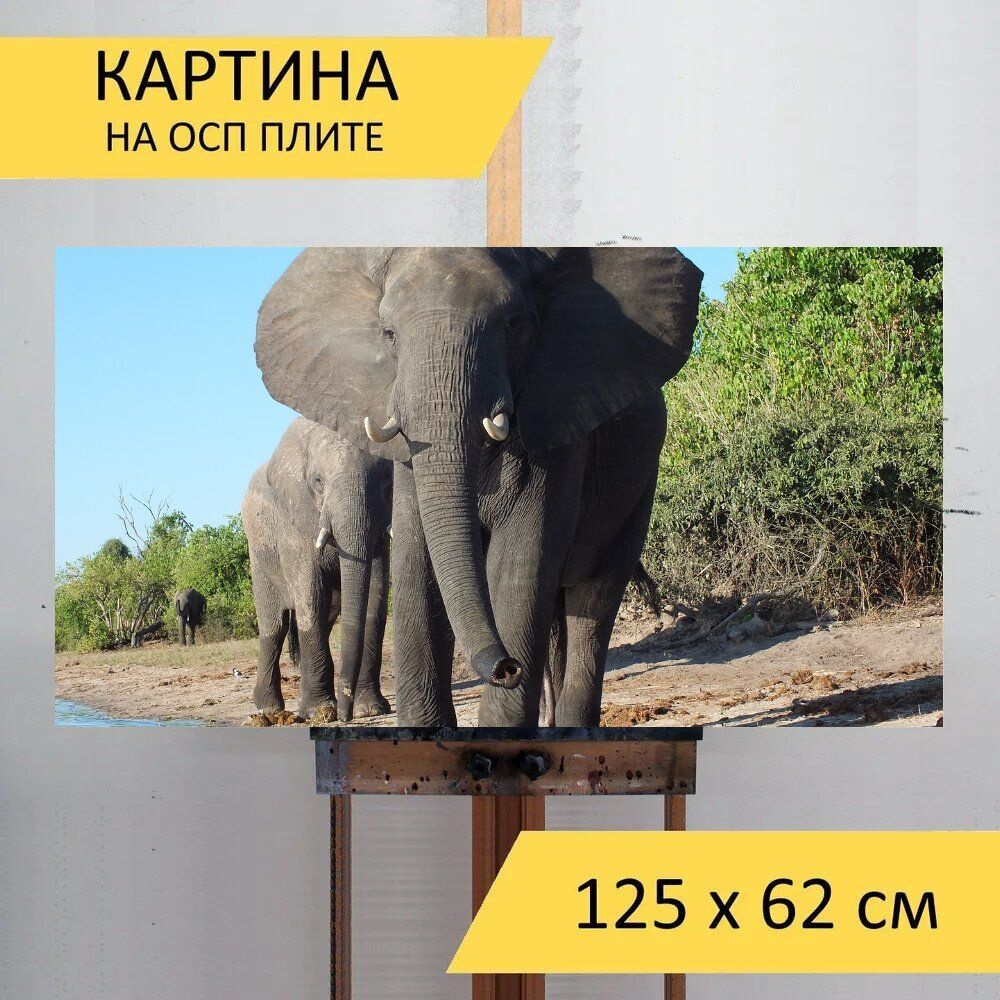 LotsPrints Картина "Слон, дикая природа, ботсвана 74", 125 х 62 см  #1