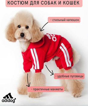 Adidog suit best sale