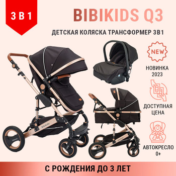   3  1 Bibikids        -      