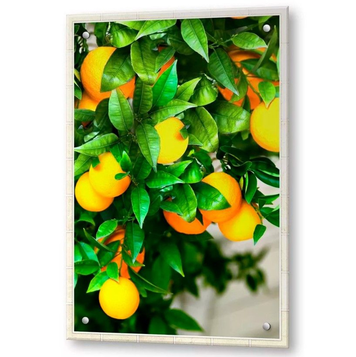 Защитное закаленное стекло для фартука на кухню. Защитный кухонный ...