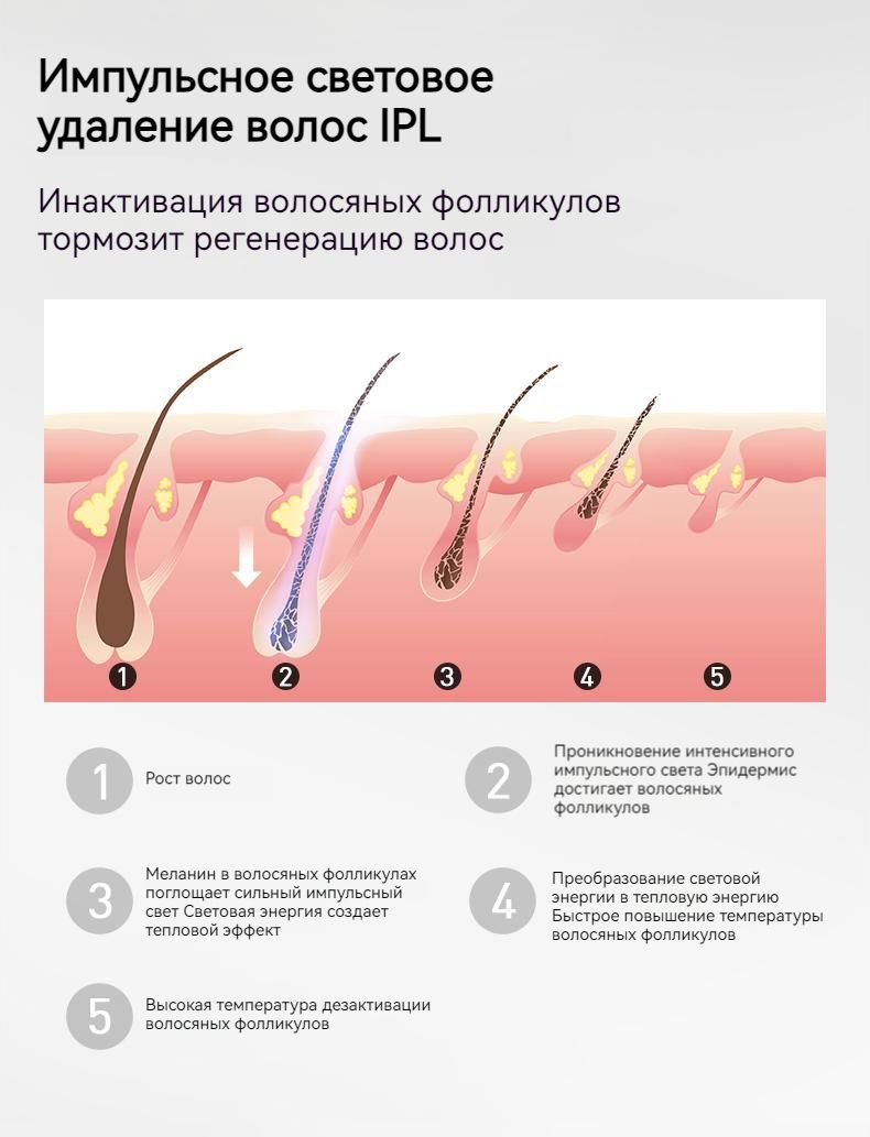 Текстовое описание изображения