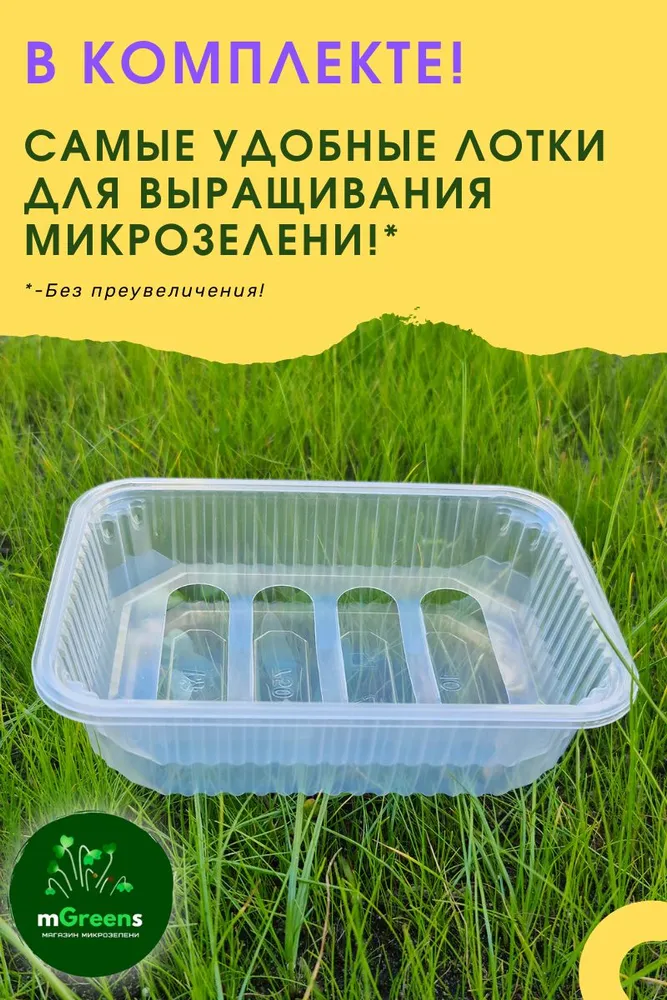 Набор для выращивания микрозелени, вариант, фото 3