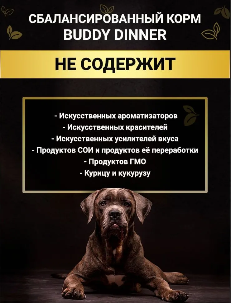 Корм сухой для собак всех пород BUDDY DINNER Супер Премиум класса Gold Line, гипоаллергенный, полнорационный, без добавок, 100% натуральный состав, с говядиной, 10 кг, 10 кг, фото 4