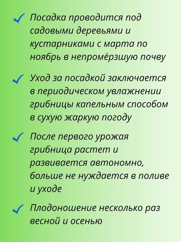 Грибы Шампиньон Королевский, 1 пакет, зерновой мицелий 30 мл, Уральский Дачник, 30 мл, фото 2