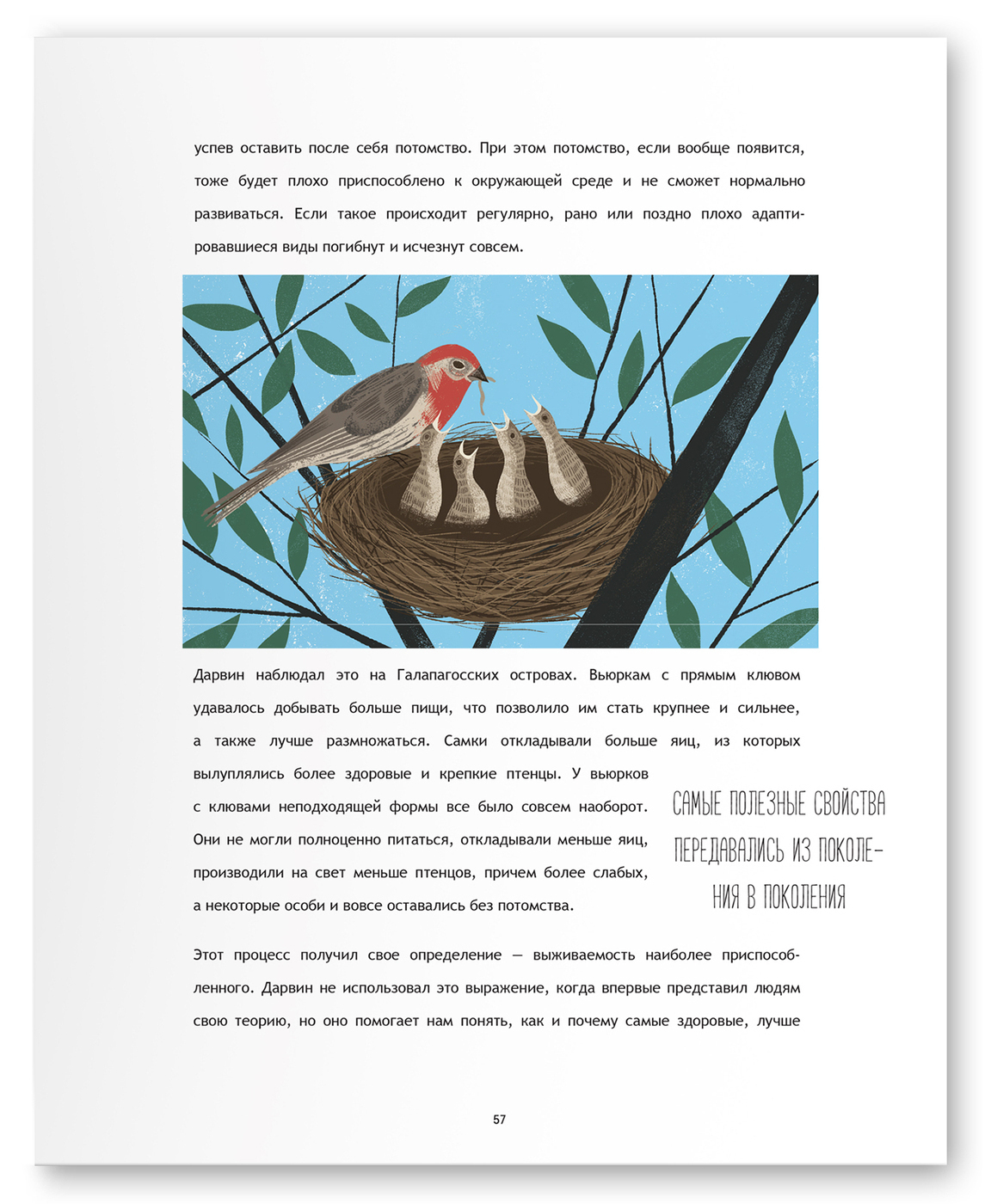 Кругосветное путешествие Дарвина | Darwin's Round-the-World Voyage - Ozon image 4